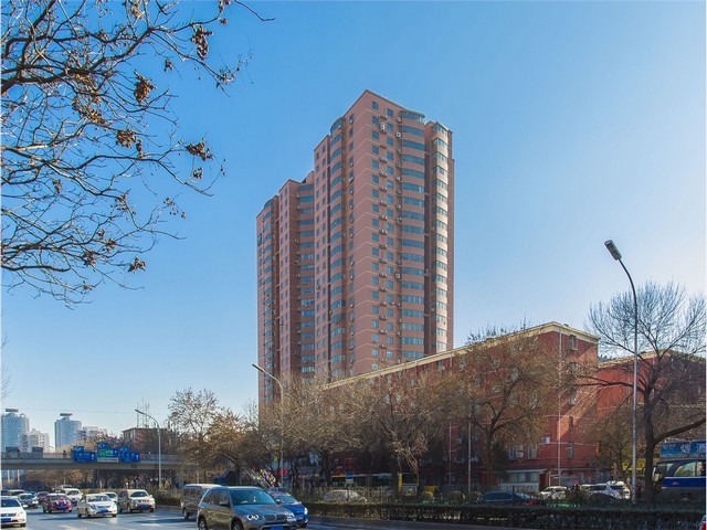 广东柔术综合格斗比赛